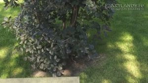 Установка садового пластикового бордюра Геоборд