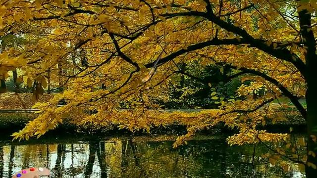 Прощальный вальс осени смотреть онлайн