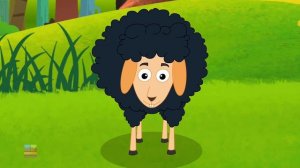 Baa Baa Black Sheep | Schoolies Cartoons | Nursery Rhymes For Children