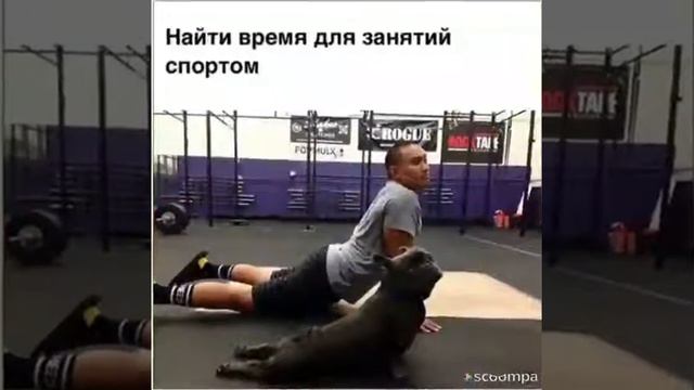 Год значит год собаки смотреть онлайн