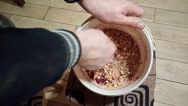 СПОРТИВНІ ГОЛУБИ ЯК НАВЧИТИ ГОЛУБІВ НА ВІТАМІНИ смотреть онлайн