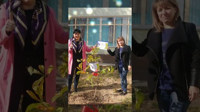 Аллея выпускников смотреть онлайн