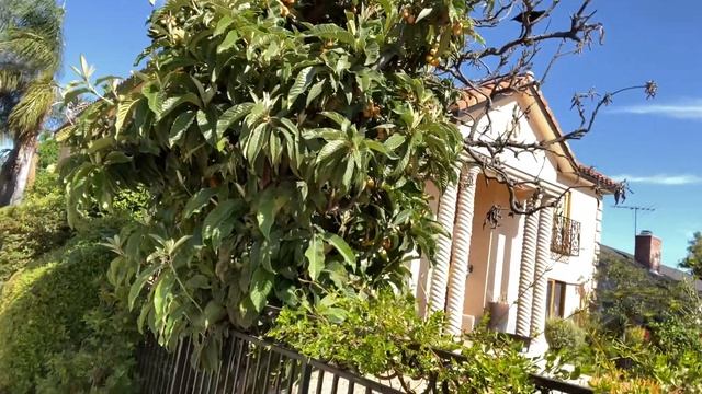 Погода и климат в Южной Калифорнии. Погода в Лос-Анджелесе. смотреть онлайн