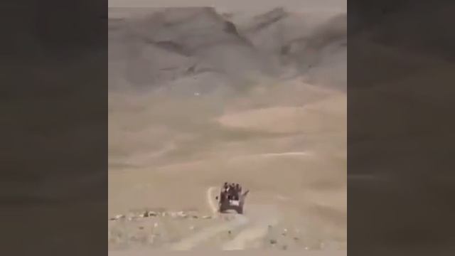 армянские псы смотреть онлайн