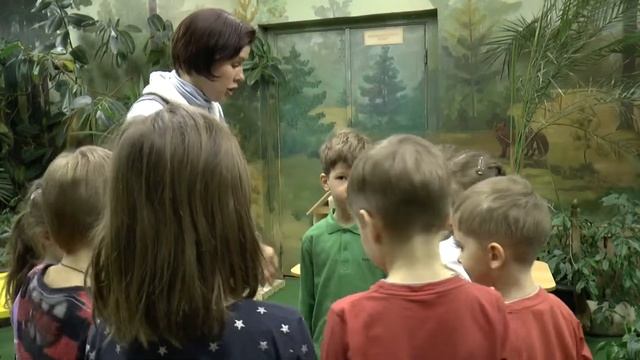 Развитие осознанного чтения и предпосылки грамотности