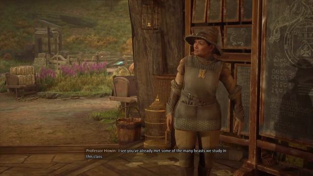 The Helmet of Urtkot and Sirona - Part 8 - Hogwarts Legacy смотреть онлайн