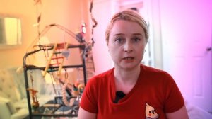 КАК ЗАМАНИТЬ ПОПУГАЯ ОБРАТНО В КЛЕТКУ | ПЕРВЫЕ ШАГИ ПРИРУЧЕНИЯ ПОПУГАЯ