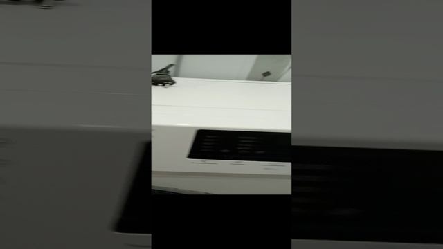 VID_20231219_114234 смотреть онлайн