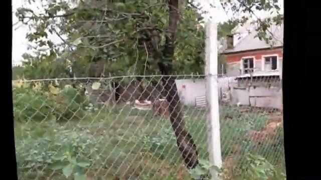 Огород смотреть онлайн