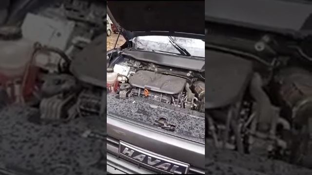 Толосол залил не в ту дырку итог: замена мотора и рулевой палки.