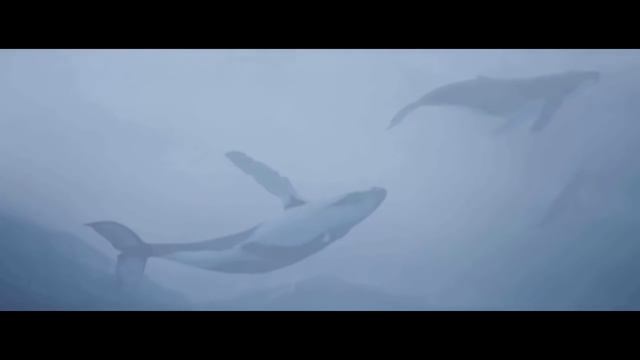 Сини кит Море китов смотреть онлайн