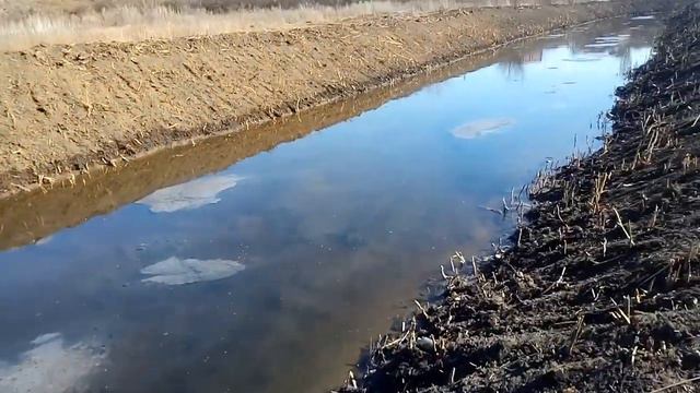 Выпуск очистных мкр. «Суворовский», зона расчистки Темерника смотреть онлайн