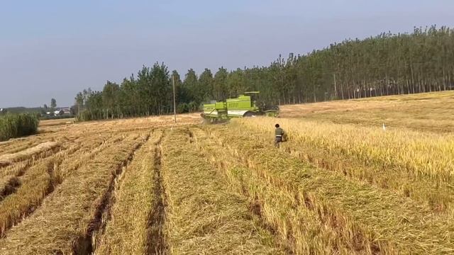 Testing New Jaswant Super seeder on John deere 5210//ਇੱਕ ਸਾਈਡ ਬਜਾਈ,ਦੂਜੀ ਸਾਈਡ ਵਢਾਈ ਚਲਦੀ ਏ ਨਾਲੋਂ ਨਾਲ смотреть онлайн