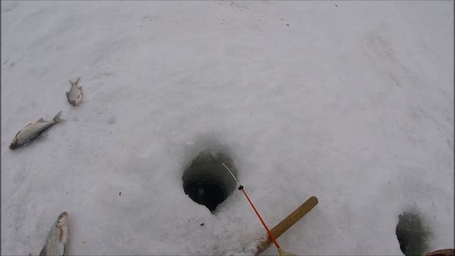 ЗИМНЯЯ РЫБАЛКА. ВНАЧАЛЕ СИДЕЛ КАК РОССИЙСКИЙ ЕВРЕЙ-ОЛИГАРХ В ЛОНДОНЕ ВОЗЛЕ БАНКА. НО... КЛЮЕТ!!! смотреть онлайн