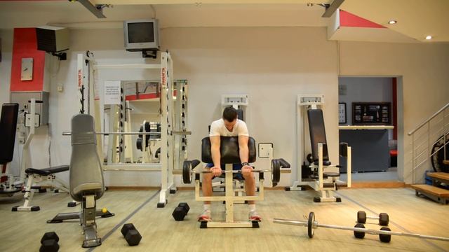 Trening Za Biceps I Triceps