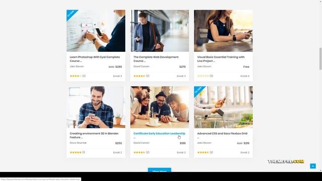 Eduin - Online Course WordPress Theme coaching udemy Takai смотреть онлайн