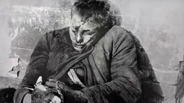 Голубь - символ мира смотреть онлайн