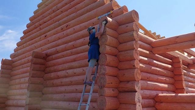 Строим бревенчатый дом, первое лето. Hausbauen in Russland. Holzhaus Blockhaus смотреть онлайн
