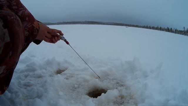 Безмотыльная удочка без кивка