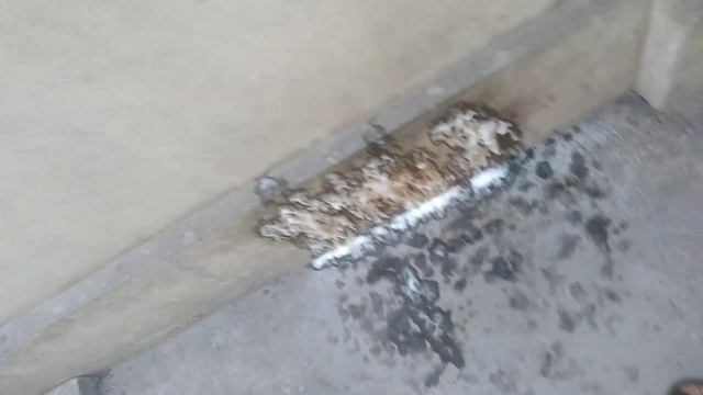 sanо forte мыть грязь стен забора смотреть онлайн