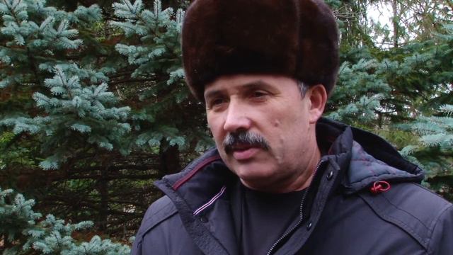 Инструктаж по выбору новогодних елок смотреть онлайн