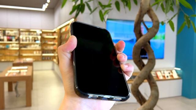 Силиконовый чехол Brauffen для iPhone 12/12 Pro Max (Серый) смотреть онлайн