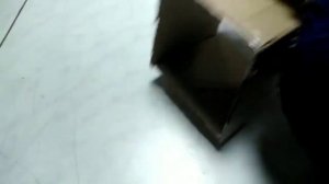 ⚫Ландыши | Как вырастить ландыши | Ландыши весной | Выгонка ландышей к 8 марта |