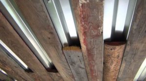 Устраняю течь в профлисте когда саморез не попал в обрешётку