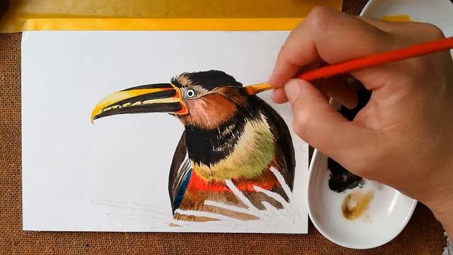 Как рисовать птицу акварелью; Watercolor Puffin Bird