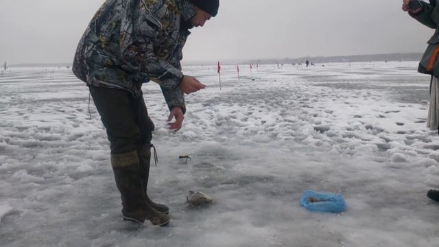 Лещ .Оскол 2017 год. смотреть онлайн