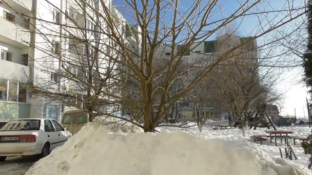 Весенняя обрезка деревьев - когда ее делаю я смотреть онлайн