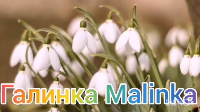 Ольга Уралочка live /Сдали нервы /Началось /Обзор Влогов /Уралочка и Сафар / смотреть онлайн