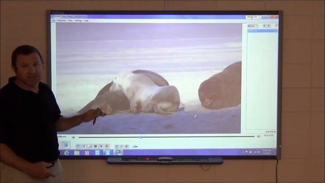 SMART Video Player смотреть онлайн