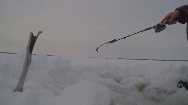 Судак в глухозимье, что лучше малек или силекон ? смотреть онлайн