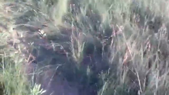 Выгребная яма своими руками смотреть онлайн