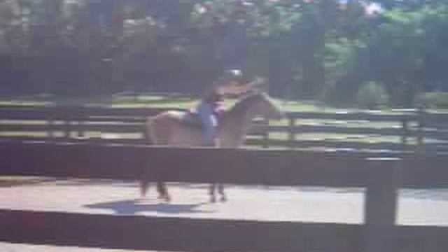 Second ride on Kiger Mustang смотреть онлайн