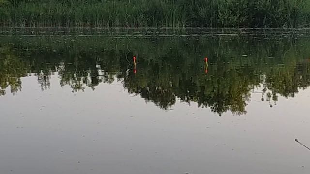 КАРАСИ КЛЮЮТ на ШПРОТЫ?! Рыбачу на ШПРОТНОЕ ТЕСТО по рецепту от ПОДПИСЧИКА! смотреть онлайн