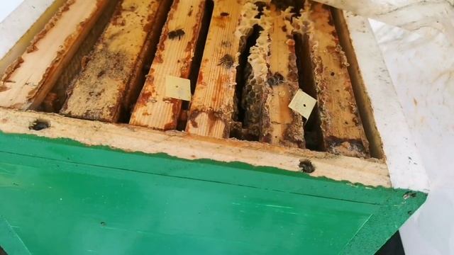 Зимовка 99,5%. 23 февраля 2022 смотреть онлайн