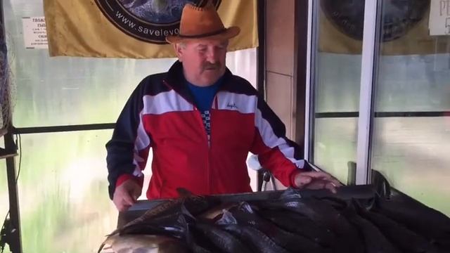 Как правильно ловить осетра! смотреть онлайн