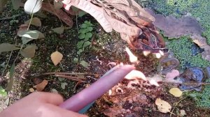 Чистка ментала, от порчи на болото, безумия, дипрессии, бездействия, уныния, аппатии, страхов.