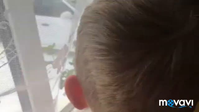 Дед Мороз пришел на новый год 2019 смотреть онлайн