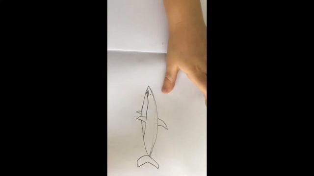 Как нарисовать акулу карандашом смотреть онлайн