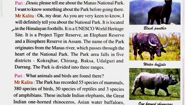 'Manas National Park' Class 6/ English lesson 11// Fully Assamese Explanation/Assam Jatiya Bidyalay смотреть онлайн