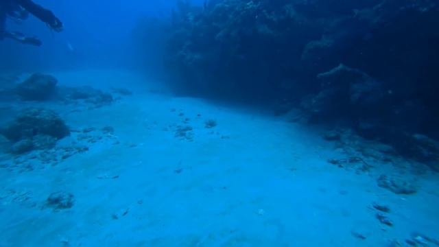 REBREATHER DIVERS IN ACTION - Part 1 смотреть онлайн