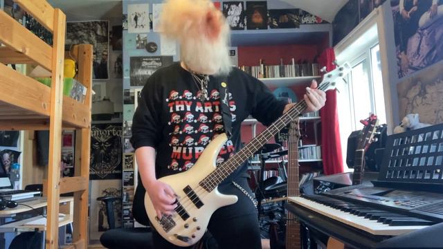 Enter Shikari - Sssnakepit (Bass Cover) смотреть онлайн