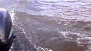 video 2014 08 05 18 36 52 Сузуки DF5  лодка Казанка.