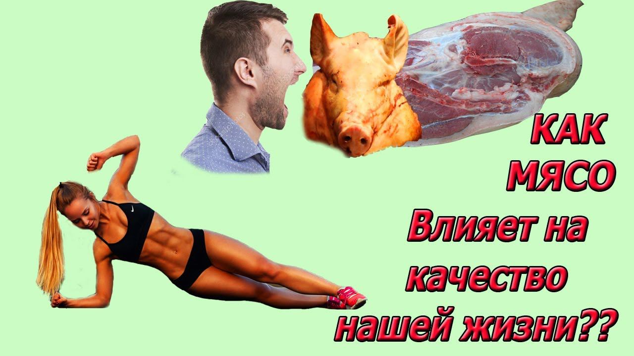 ПОЧЕМУ ЕСТЬ МЯСО ОПАСНО? КАК МЯСО ВЛИЯЕТ НА СОЗНАНИЕ? смотреть онлайн
