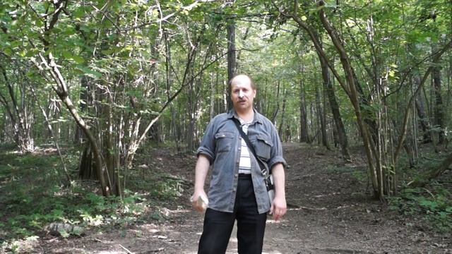 "У Лукоморья дуб зелёный..." Часть2. Битцевский лесопарк смотреть онлайн