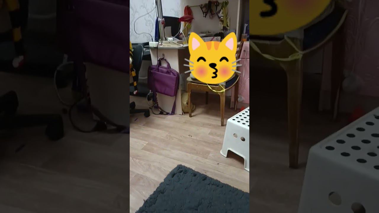 9 октября 2023 г. смотреть онлайн