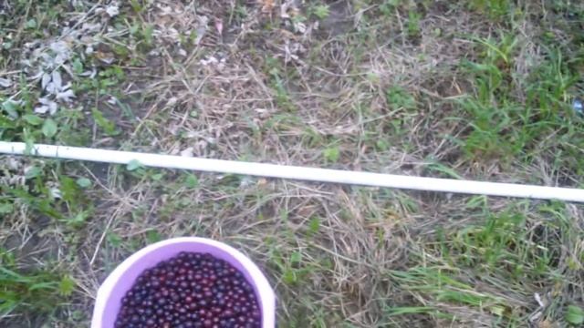 СтройМысли